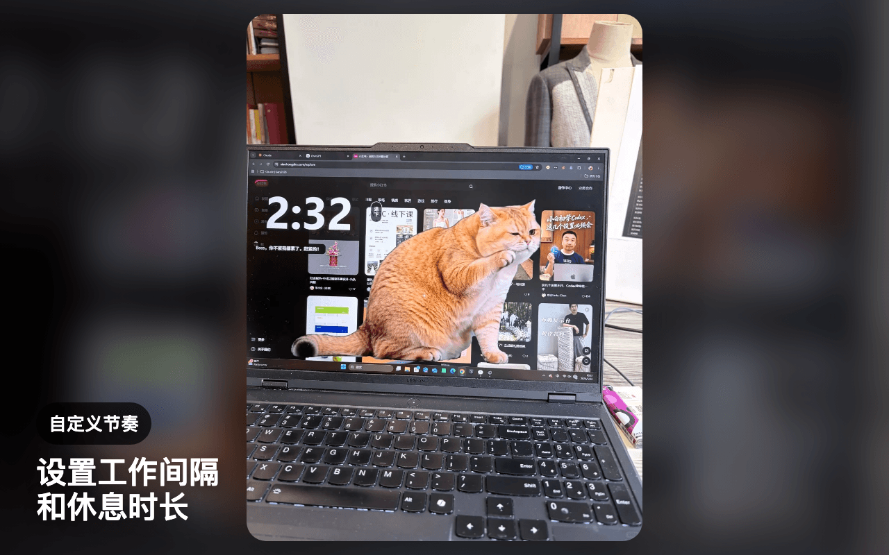 喵掌休息真實外掛介面三